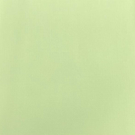 Pound A Metre 3 Metres 3 Metres Soft Crepe Jersey   55" Wide (Lime)