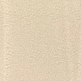 Pound A Metre 3 Metres Soft Lace Jersey 55” Wide- (Beige)