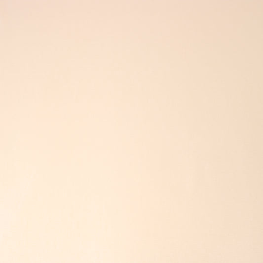 3 Metres Soft French Terry Jersey - 55" Wide Aipricot