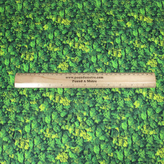 Premium Printed Cotton- Landscape Designs- 45" Wide (Tree)