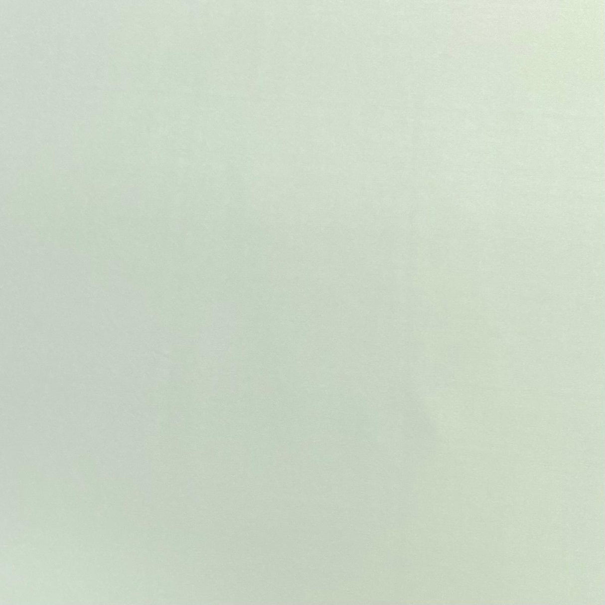 3 Metre Luxurious Soft Polyester Jersey - 55" (Sage)