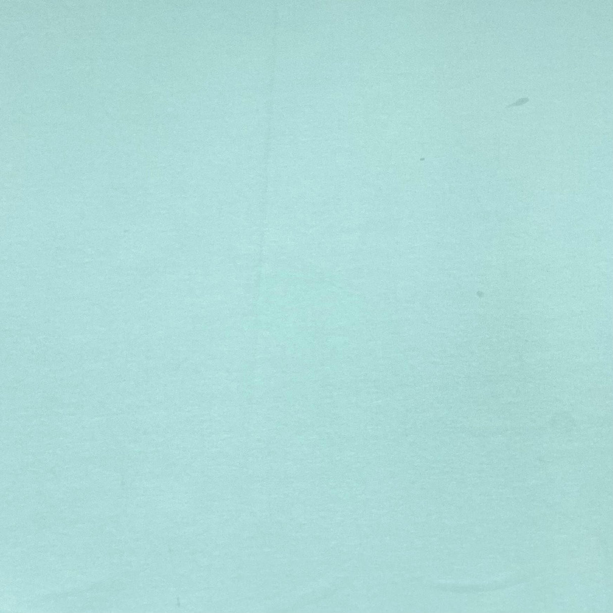 Pound A Metre Cotton Looped Backed Terry Jersey 55" Wide (Mint)