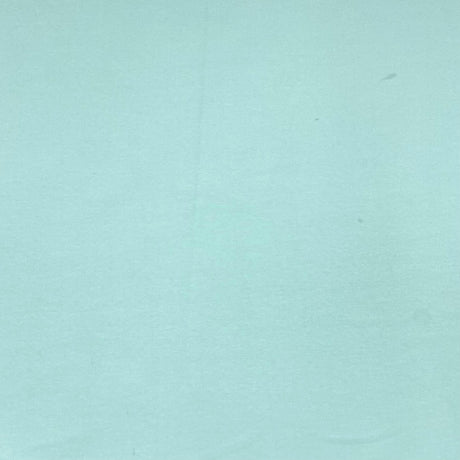 Pound A Metre Cotton Looped Backed Terry Jersey 55" Wide (Mint)