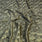 Pound A Metre Khaki Embossed Soft Velvet 55" - 10 Variations Available