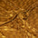 Pound A Metre Golden Embossed Soft Velvet 55" - 10 Variations Available