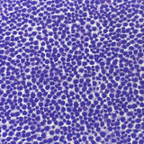 Pound A Metre Fat Quarter Bundle- 4 Pieces Per Bundle- (Purple Petals)