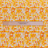Pound A Metre Per Metre 100% Digital Cotton Print - (New 15)