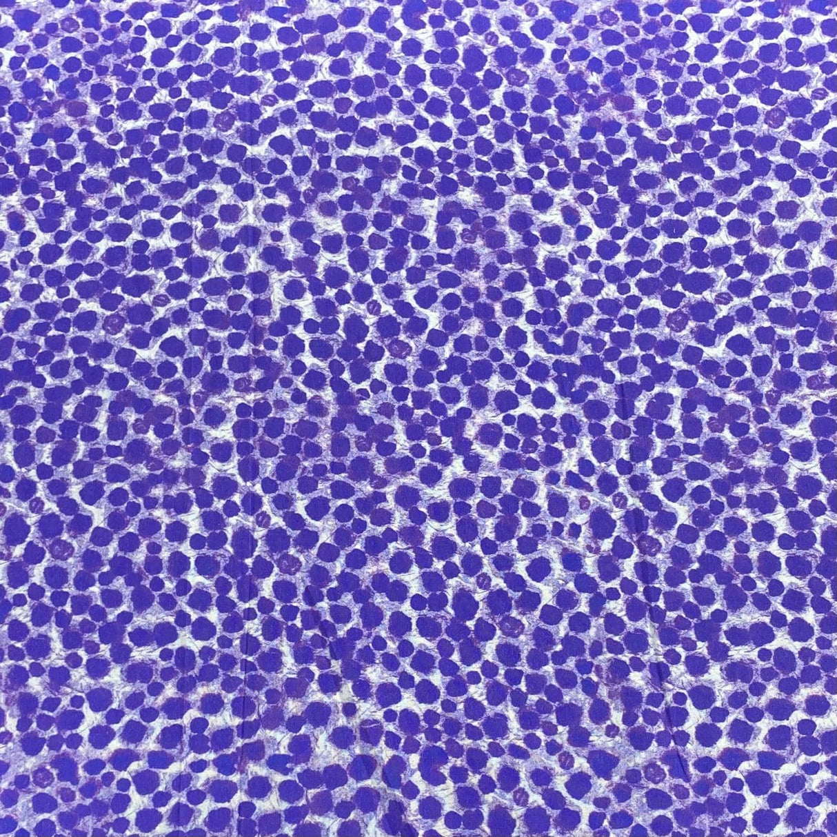Pound A Metre Per Metre 100% Digital Cotton Print - (New 20)