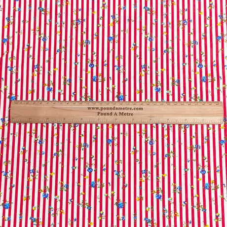 Pound A Metre Per Metre Per Metre Beautiful Digitally Printed 100% Cotton- 45" Wide (Candy Cain)