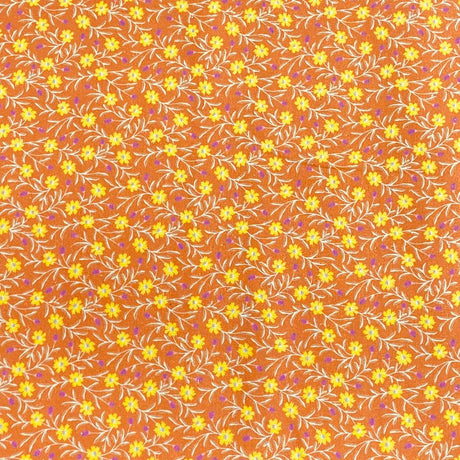 Pound A Metre Per Metre Per Metre Beautiful Digitally Printed 100% Cotton- 45" Wide (Orange)