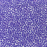 Pound A Metre Per Metre Per Metre Beautiful Digitally Printed 100% Cotton- 45" Wide (Purple)