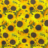 Pound A Metre Per Metre Per Metre Beautiful Digitally Printed 100% Cotton- 45" Wide (Sun)