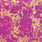 Pound A Metre Design 20 Per Metre Clearance Digital Cotton 45'' Wide (Over 100 Variation Available)