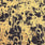 Pound A Metre Design 16 Per Metre Clearance Digital Cotton 45'' Wide (Over 100 Variation Available)