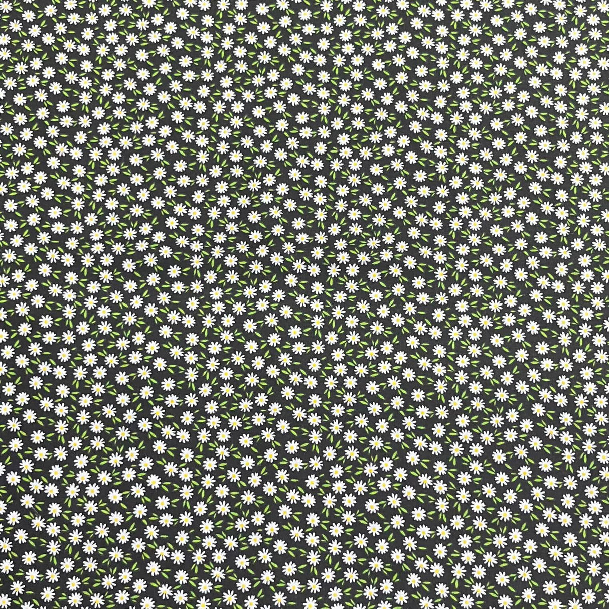 Pound A Metre Design 81 Per Metre Clearance Digital Cotton 45'' Wide (Over 100 Variation Available)