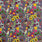 Pound A Metre Design 2 Per Metre Clearance Digital Cotton 45'' Wide (Over 50 Variation Available)