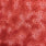 Pound A Metre Design 34 Per Metre Clearance Digital Cotton 45'' Wide (Over 50 Variation Available)