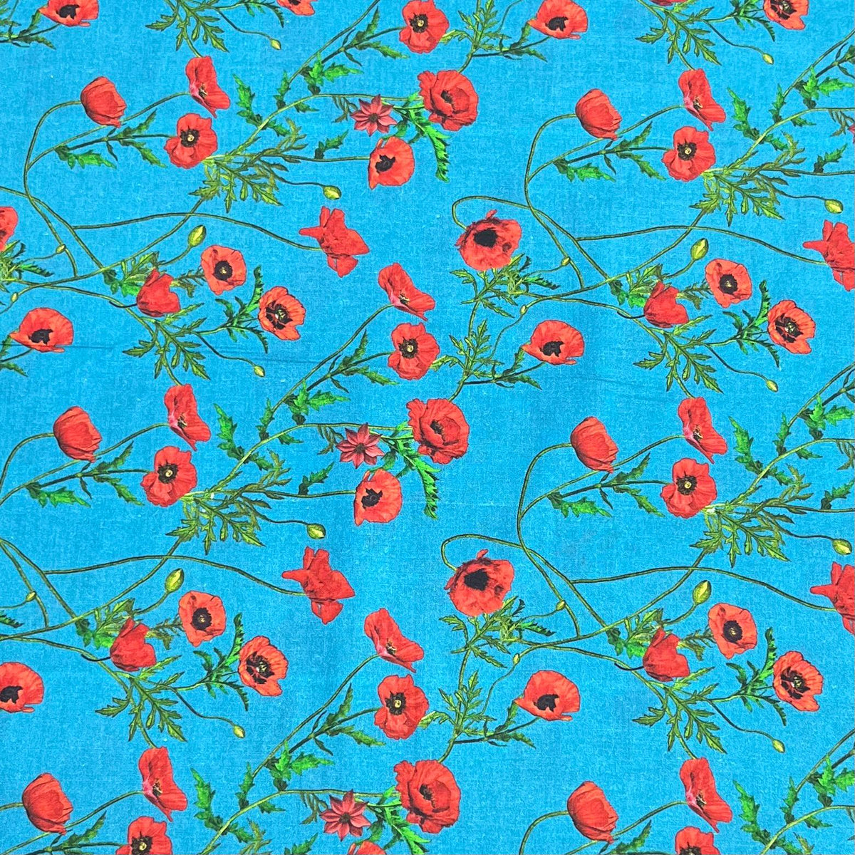 Pound A Metre Design 43 Per Metre Clearance Digital Cotton 45'' Wide (Over 50 Variation Available)