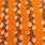 Pound A Metre Design 8 Per Metre Clearance Digital Cotton 45'' Wide (Over 50 Variation Available)