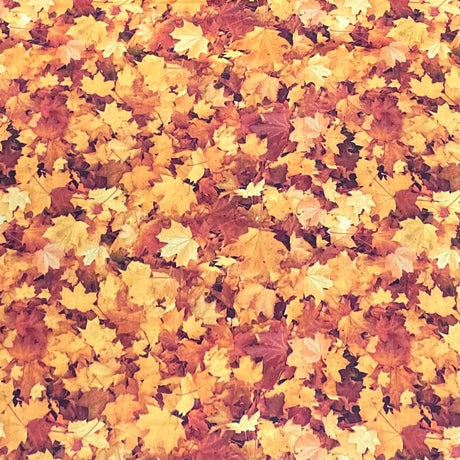 Pound A Metre Per Metre Per Metre Digitally Printed 100% Cotton- 45" Wide (Autumn leaf)