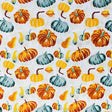 Pound A Metre Per Metre Per Metre Digitally Printed 100% Cotton- 45" Wide (Pumpkin Patch)