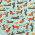 Pound A Metre Per Metre Per Metre High Quality Brushed Cotton - 45" Wide (Mint Dog)