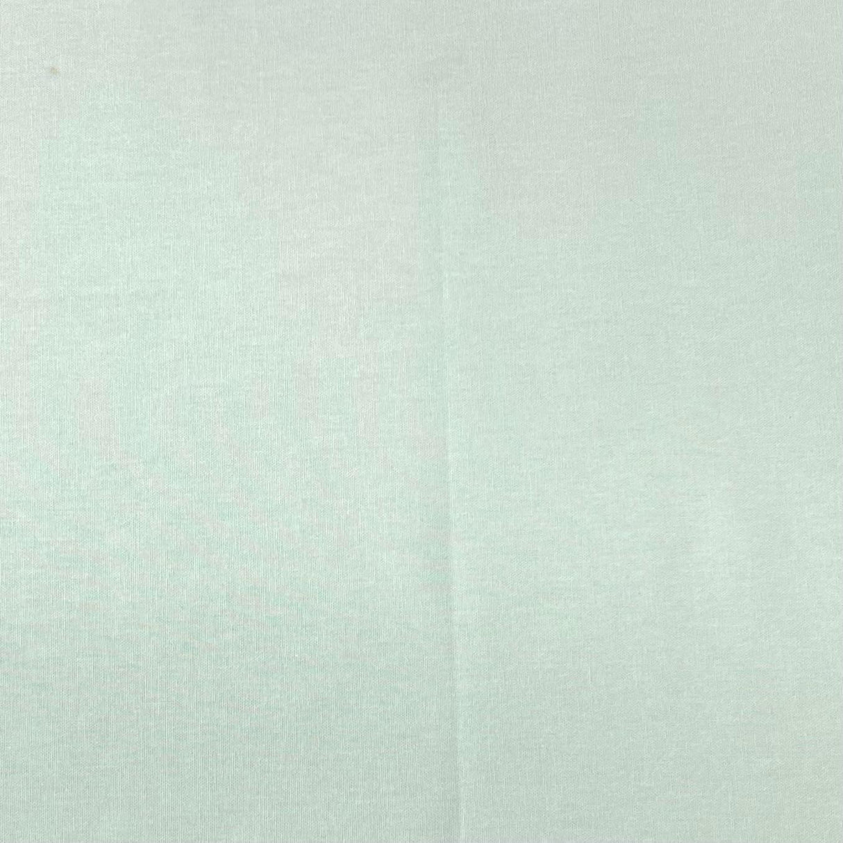Pound A Metre Per Metre Plain Cotton Canvas - 55" Wide (Mint)