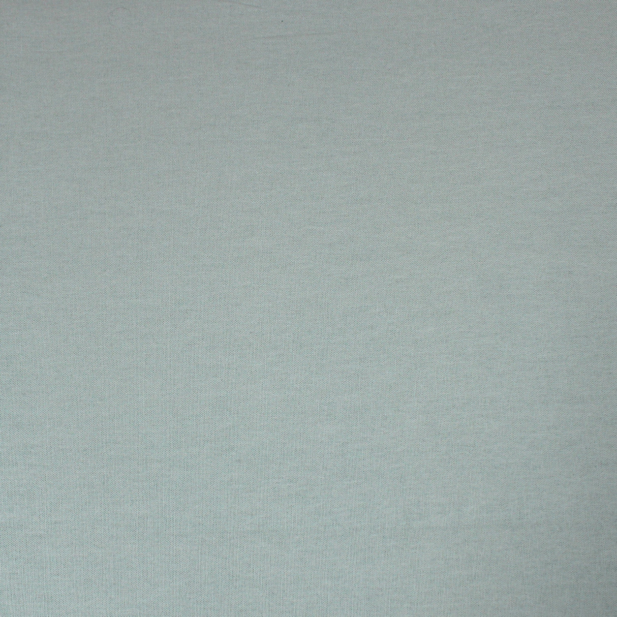 Pound A Metre Per Metre Plain Cotton Canvas - 55" Wide (Pale Green)