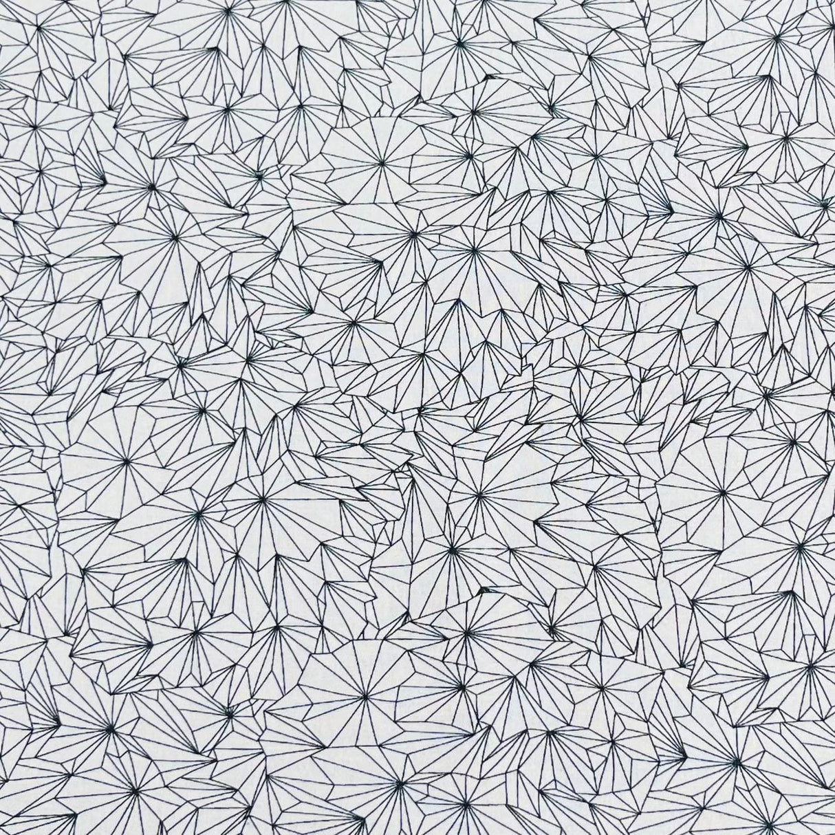 Pound A Metre Per Metre Premium Digital Cotton 45'' Wide (Mirror)