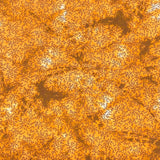 Pound A Metre Per Metre Premium Digital Printed Autumn Cotton 45'' Wide (Lava)