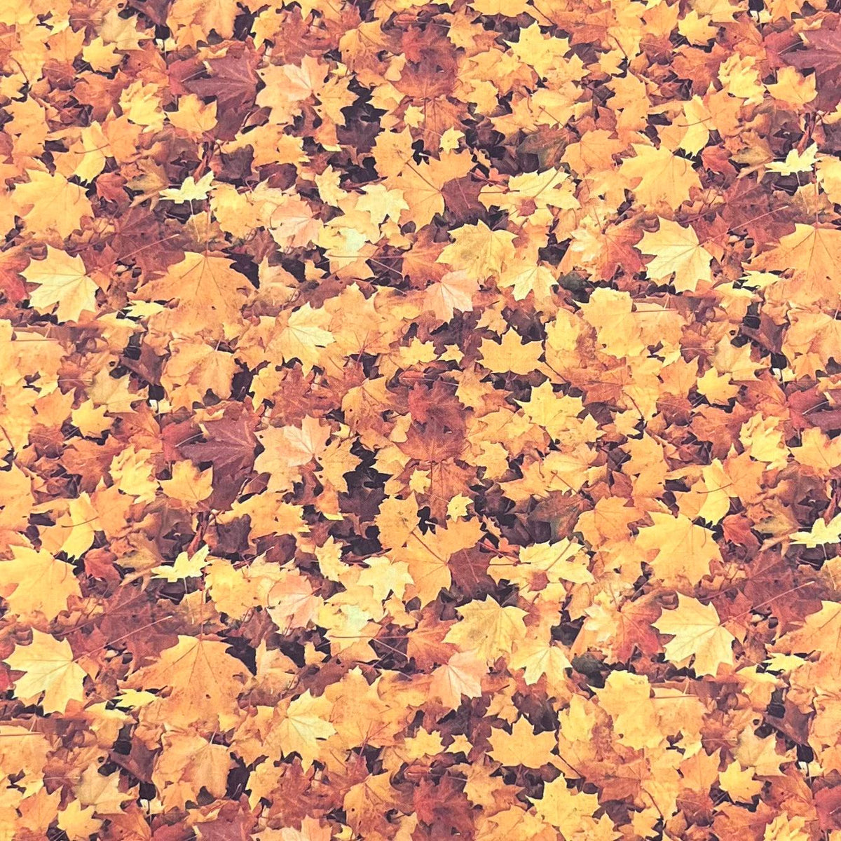 Pound A Metre Per Metre Premium Digital Printed Autumn Cotton 45'' Wide (Leaf)