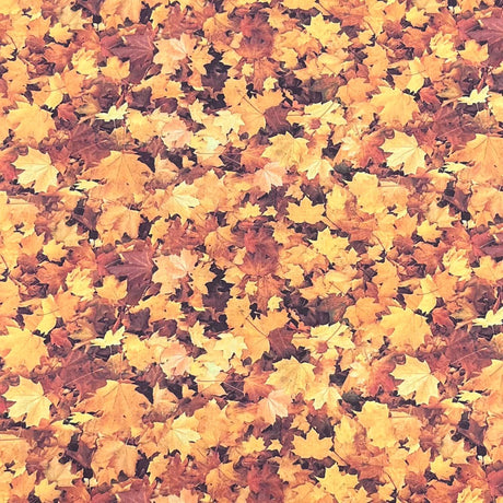 Pound A Metre Per Metre Premium Digital Printed Autumn Cotton 45'' Wide (Leaf)