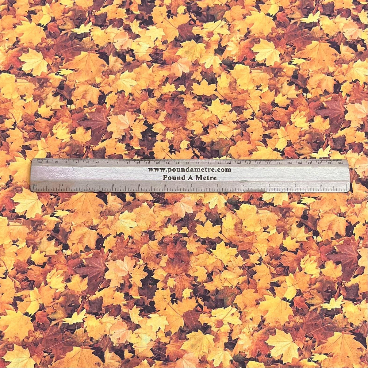 Pound A Metre Per Metre Premium Digital Printed Autumn Cotton 45'' Wide (Leaf)