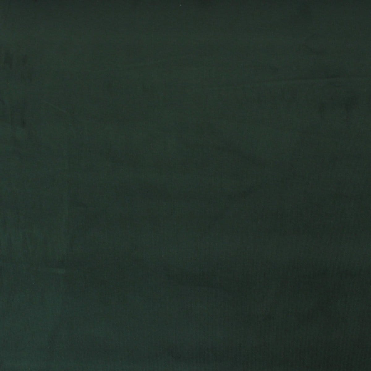 Pound A Metre Premium 100% Italian Cotton Corduroy - 21 Wale - 60" Wide - (Emerald)
