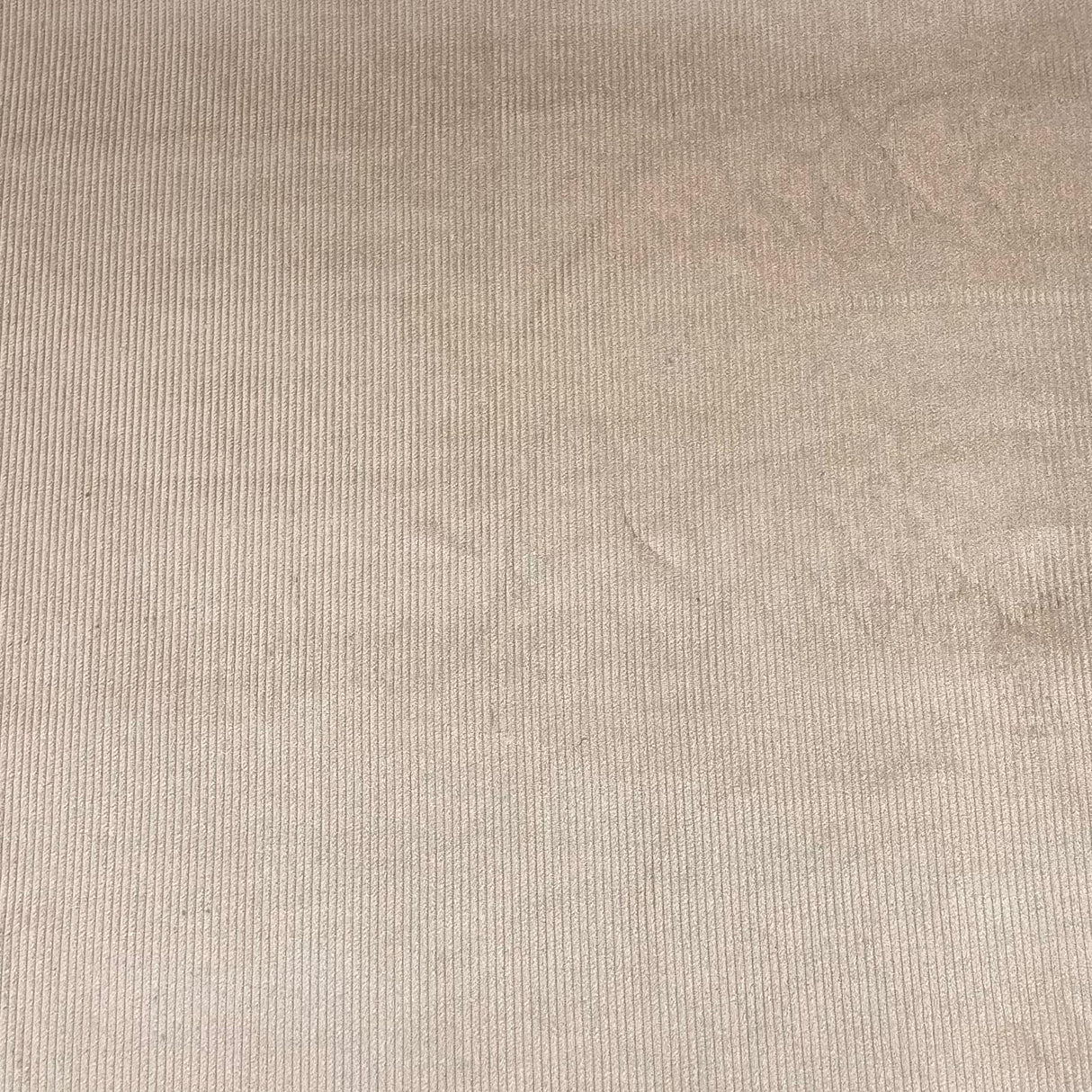 Pound A Metre Premium Soft Cotton Needle Corduroy- 55" Wide (Cream)