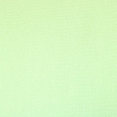 3 Metres Quality Light-Weight Benjamin Knit Jersey - 55" Wide Pastel Green - Pound A Metre