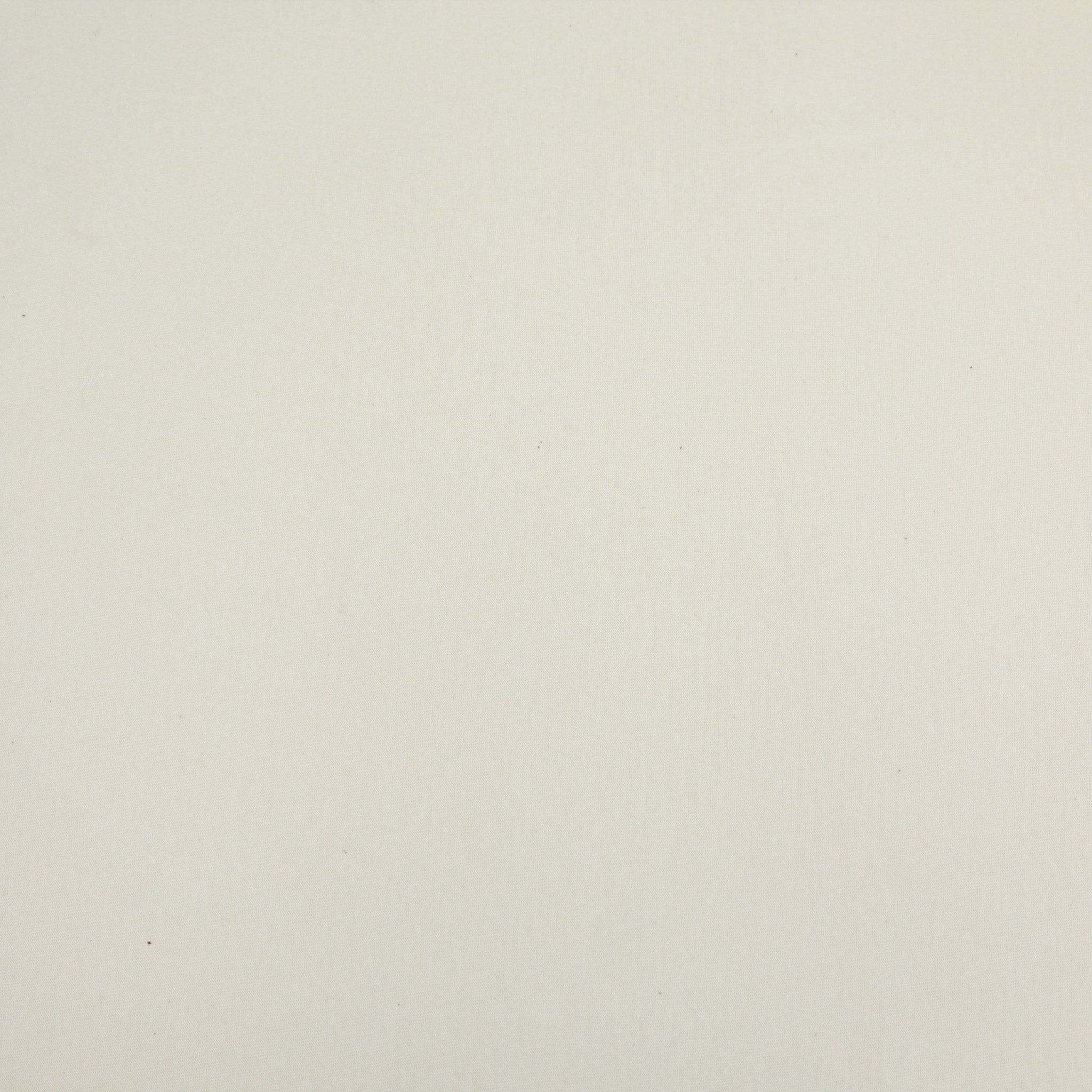 Premium Single Jersey Combed Cotton - Cream - Pound A Metre